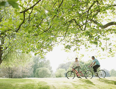 The study found tree shade reduced air temperature, while the low wind “cavity” increased the air temperature. Photo: iStock