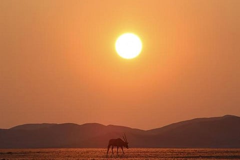 फोटो:विश्व मौसम विज्ञान संगठन (डब्ल्यूएमओ)