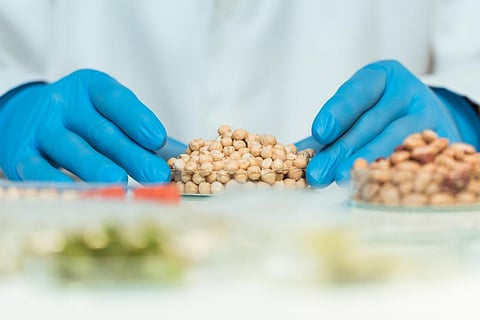 Photo: iStock