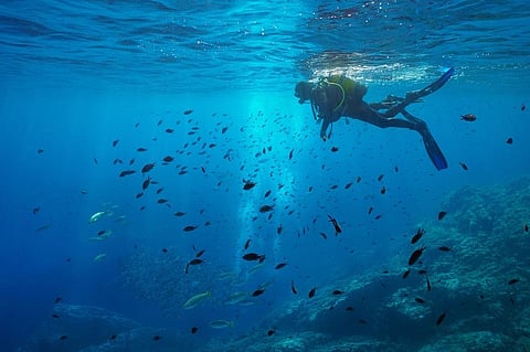 Ocean floor contains critical minerals needed to build batteries for electric vehicles and renewable energy capacity, smartphones and laptops. Photo: iStock.