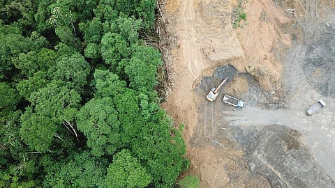 Three highway projects will fall in Protected Areas. Representative photo: iStock.