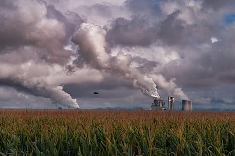 Photo: iStock