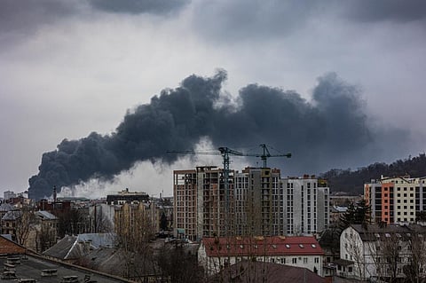 Photo: Sodel Vladyslav/Shutterstock
