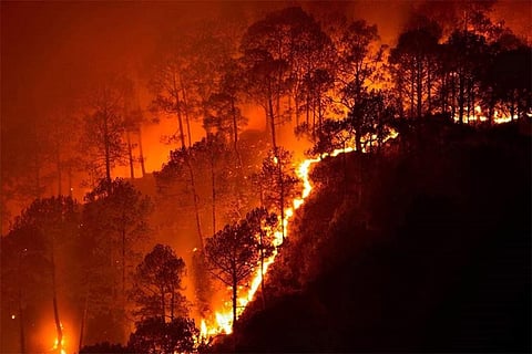 फोटो साभार : विकिमीडिया कॉमन्स, नवीन नकड़लवेनी 