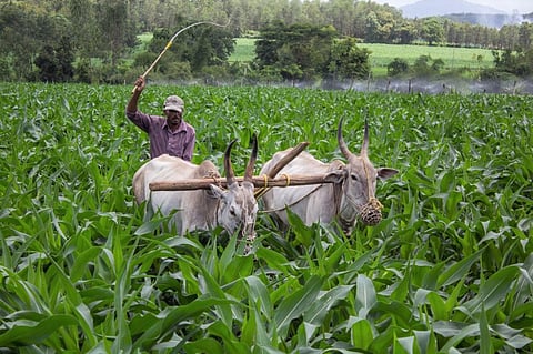 Photo: iStock