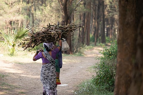 Following the 2019 SC order, MP launched the online portal for suo motu review of rejected IFR claims. Representative photo: iStock.
