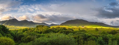 Just 2% of Ireland is covered with native forest. Photo: Dawid K Photography / shutterstock
