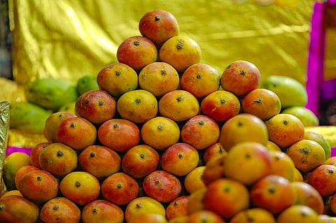 Besides Maharashtra, Alphonso mangoes see high demand in Gujarat and Rajasthan. Representative photo: iStock.