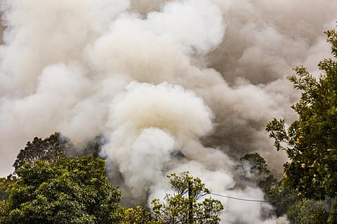 Photo: iStock