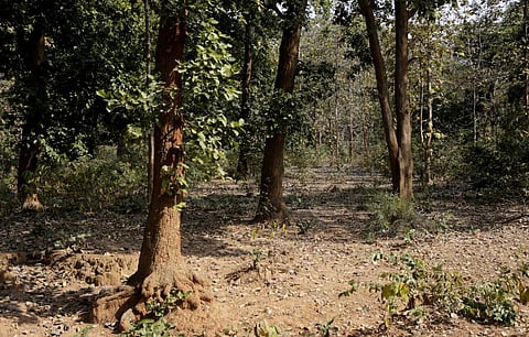 Controversial Bill to amend Forest Conservation Act passed by Lok Sabha