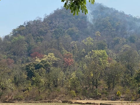 Unabated forest fires seriously threaten wildlife and their habitat areas. Photo: Hrusikesh Mohanty