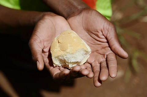 Africa’s food import dependency has tripled in recent decades. Representative photo: iStock.