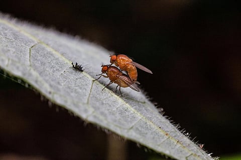 Photo: iStock