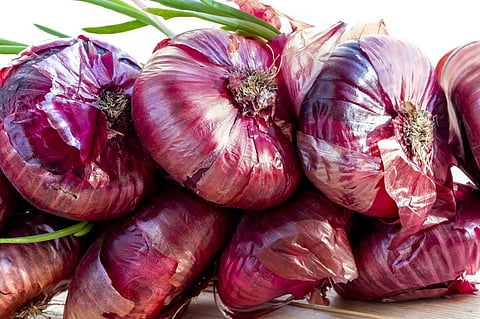 Moisture in the air quickly affects the red onions grown in winter, so it spoils in about 20 days. Photo: iStock