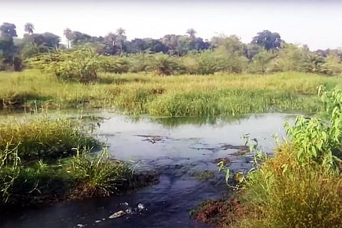 कोठारी नदी में बहता दूषित पानी: फोटो: नन्द किशोर जांगिड़/यूट्यूब