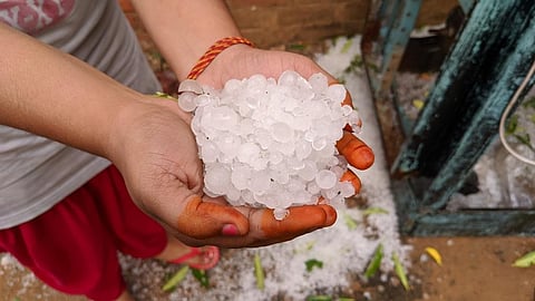 Maximum wrath of the hail that is extremely detrimental to crops was incurred by Rajasthan, West Bengal and Maharashtra. Representative photo: iStock.