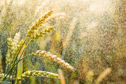 Photo: iStock