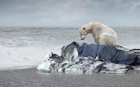 Photo: iStock