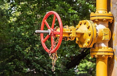 The price reduction is currently concerned with only 55 per cent of the natural gas used in the country and the price of the rest 45 per cent of the gas remains unchanged since it is imported. Representative photo: iStock.
