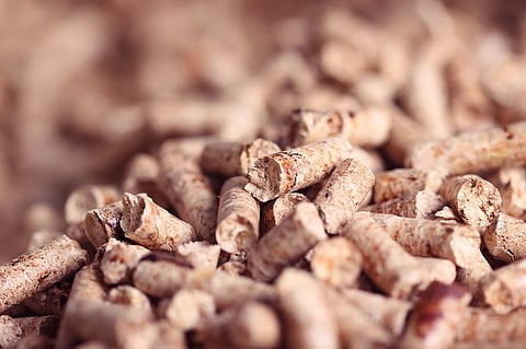 The revised guidelines have pitched the capital for setting up a palletisation unit at Rs 70 lakhs with machinery costing Rs 35 lakhs and the remaining Rs 35 lakhs for air pollution control device and automation unit. Photo: iStock