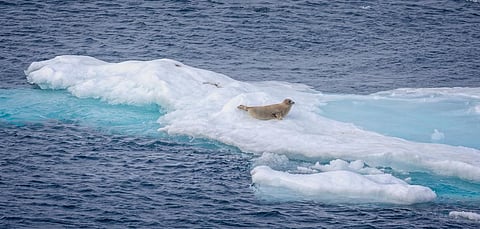 The mass of ice lost is enough ice to fill an ice cube of 20 km in height. Photo: iStock