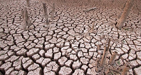 Over 20 million people in East Africa suffered food insecurity in 2022. Representative photo: iStock.