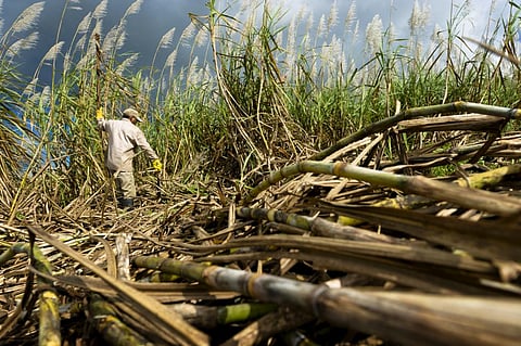 Photo: iStock