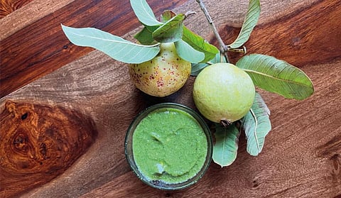 Guavas are highly nutritious and are in demand in domestic as well as in international markets (Photograph: Vibha Varshney)