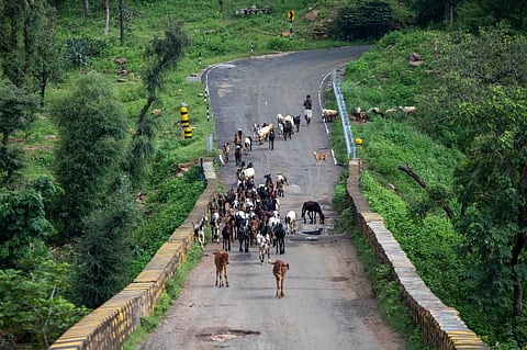 वन संरक्षण अधिनियम में संशोधन से शुद्ध शून्य उत्सर्जन के लक्ष्य को हासिल करने में मिलेगी मदद: सरकार