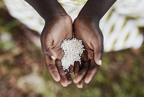 The number of people facing acute food insecurity in 58 countries and territories in 2022 — 258 million —  was the highest in the seven-year history of the report. Representative photo: iStock.