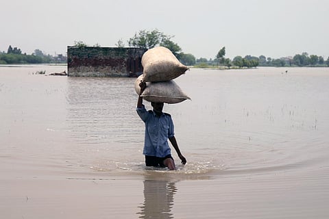 भारी बारिश और बाढ़ में मवेशियों के लिए चारा ले जाता किसान; फोटो: आईस्टॉक