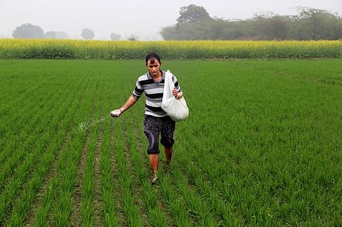 A farmer can spread traditional granular urea in a few hours over the entire farm. Photo for representation: iStock