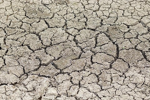 Satellite data signals early hints of a looming El Nino