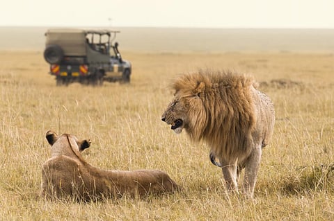 Photo: iStock