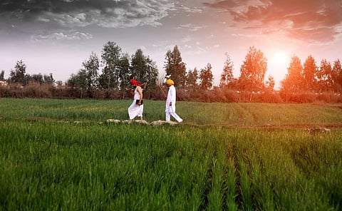 Photo: iStock