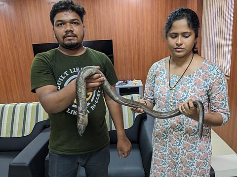 Rajesh Kumar Behera and Sruti Rekha Acharya, researchers of the Zoological Survey of India, Gopalpur centre, Odisha, display the new eel species. Photo: Hrusikesh Mohanty
