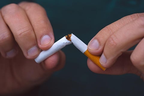 The tobacco industry interferes with attempts to substitute tobacco growing, contributing to the global food crisis, said the WHO. Photo: iStock