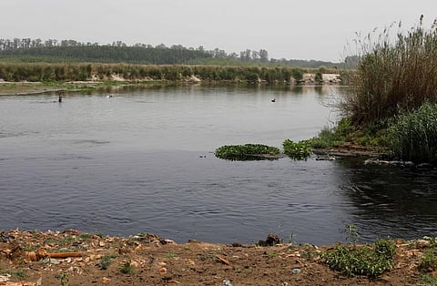 Dark coloured polluted water of Buddha nullah mixing with Sutlej river. Photo: Vikas Choudhary / CSE