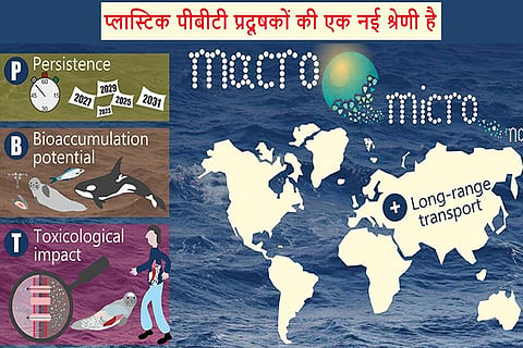 फोटो साभार: एनवायरमेंटल साइंस एंड टेक्नोलॉजी पत्रिका
