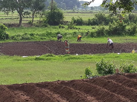 Farmers doing land-levelling work in Odisha's Ganjam district. Photo: Hrusikesh Mohanty
