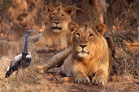 Photo: iStock