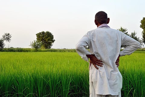 अपनी फसलों को निहारता किसान; फोटो: आईस्टॉक