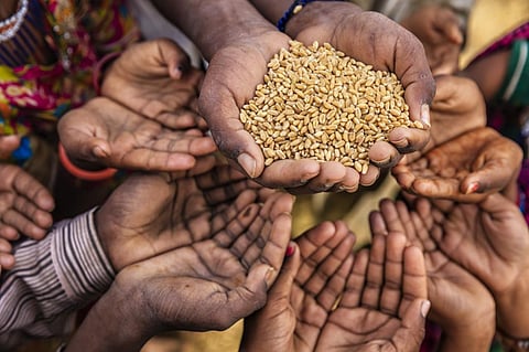 The number of people facing acute food insecurity in the IGAD member states has rapidly increased since 2020, by more than 10 million additional people each year, the report showed. Photo: iStock