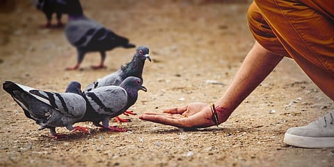 Photo: iStock