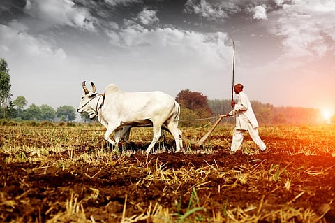 The India Meteorological Department (IMD) has not declared the development of an El Nino event, but it has been anticipating its occurrence, which could be crucial for the current monsoon season. Photo: iStock