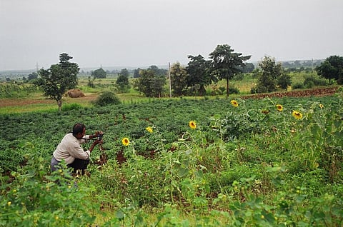 A protest by farmers last week Procurement of sunflower seeds at a minimum support price (MSP) of Rs 6,400 per quintal. File photo: CSE