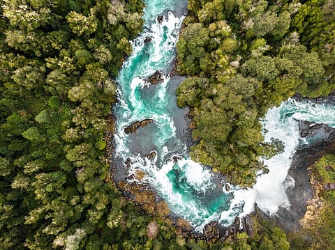 Eastern & Southern Africa makes significant progress towards Global Biodiversity Framework Target 3: IUCN