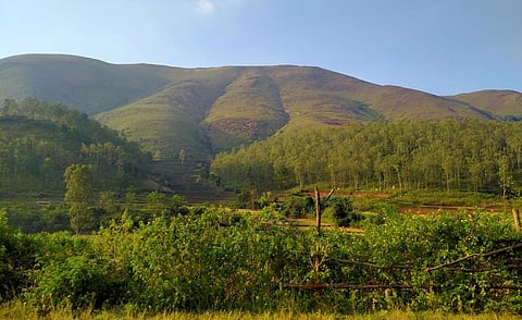 Koraput district in Odisha. iStock photo for representation
