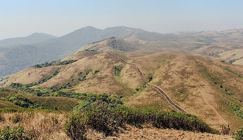 Even Kerala, one of the rainiest states in India, has received very less rain in some districts. Photo: iStock