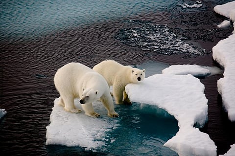 Springs in Norway's Svalbard emit methane year-round, thus the region is warming faster than the rest of the Arctic. Photo: iStock